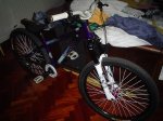DSC00185.jpg