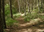 DSCN1758.jpg
