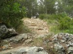 DSCN1779.jpg