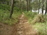 DSCN1781.jpg