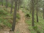 DSCN1778.jpg