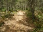 DSCN1769.jpg