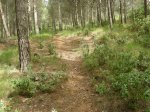 DSCN1767.jpg