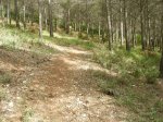 DSCN1768.jpg