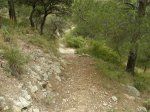 DSCN1727.jpg