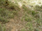 DSCN1729.jpg