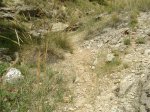 DSCN1733.jpg