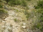 DSCN1734.jpg