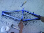 DSC08267.jpg