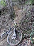DSCF0532.JPG