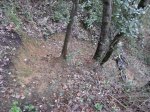 DSCF0537.JPG