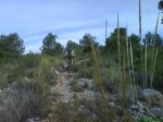DSC00604.JPG