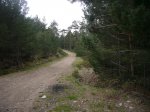 Foto10.JPG