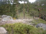 Foto11.JPG