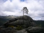 Foto16.JPG