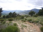 Foto43.JPG
