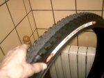 IMG_0010.jpg