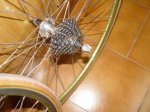 DSC04470.JPG