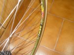 DSC04471.JPG
