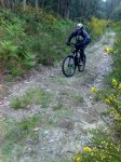 11-05-08_1034.jpg