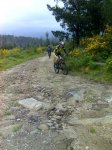 11-05-08_1044.jpg