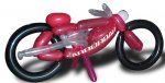 bici globero6.jpg