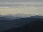 DSC09985.JPG