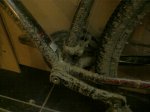 bici_i_fang.jpg