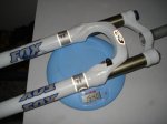 DSC01384.JPG