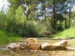 IMG_0145_redimensionar.JPG