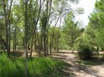 IMG_0134_redimensionar.JPG