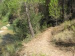 IMG_0174_redimensionar.JPG
