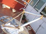 pintado4.JPG