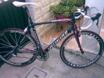 specialized.jpg