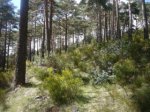 Foto3.JPG