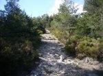 Foto12.JPG