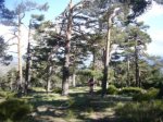 Foto14.JPG