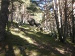Foto30.JPG