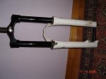 DSC01335.jpg