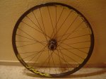 DSC00179.JPG