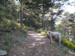 Imagen 024.JPG
