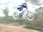 DSC08119.jpg