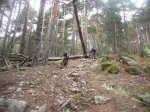 Foto60.JPG