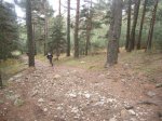 Foto62.JPG
