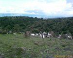 IMAGE_00041.jpg