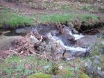 DSC05711.JPG