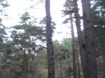 DSC05712.JPG