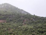 DSCN0010.JPG