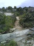 DSC00255.jpg