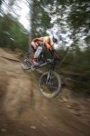 gathering08_IMG_1546.jpg